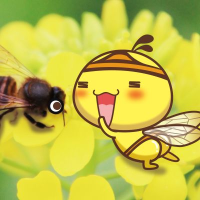 怎么用whatsapp加外国好友 whatsapp网页版软件下载苹果